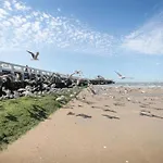 Apartment In Near The Blankenberge