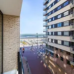 Apartment In Near The Blankenberge