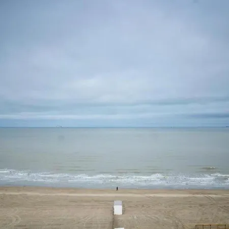 In Near The Apartman