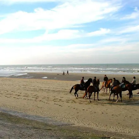 In Near The Apartman