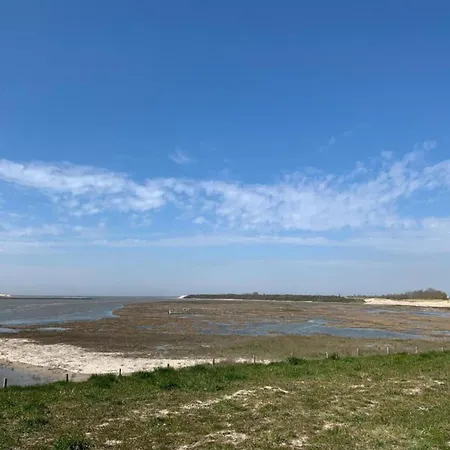 Apartman In Near The