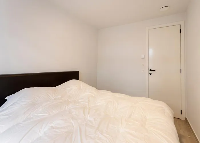 In Near The Daire Blankenberge