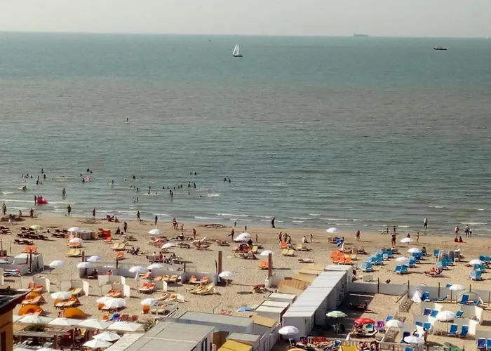 Διαμέρισμα In Near The Blankenberge