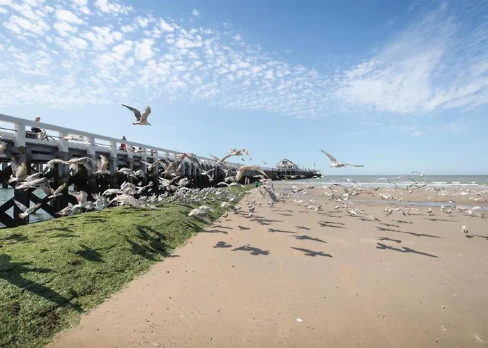 Διαμέρισμα In Near The Blankenberge